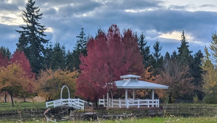 Gazebo by the pond